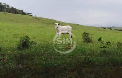 Imagem: A chácara possui 20.000m² de Área e está localizado em