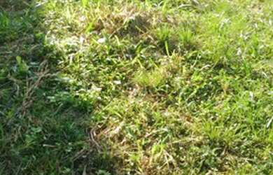 Imagem 8: Lote/Terreno para venda possui 600 metros quadrados em Freguesia Jacarepaguá...