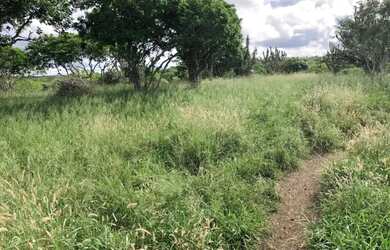 Imagem: A fazenda está localizado em Sapeaçu, BA à venda por R$1.500.000