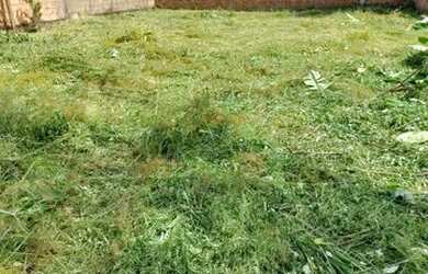 Imagem 3: Terreno. 45m² de Área