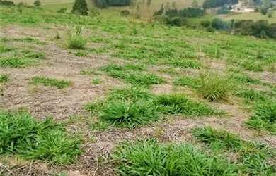 Imagem 11: Lote/Terreno para venda com 500 metros quadrados em Jardim Brasil - Atibaia - SP