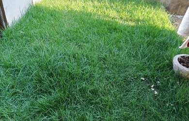 Imagem 15: Casa mobiliada por diária