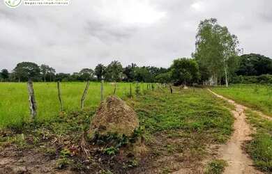 Imagem 2: FAZENDA À VENDA EM GOIATINS - TO - 329,12 HECTARES PECUÁRIA