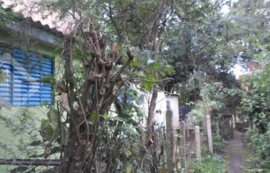 Imagem 5: PORTO ALEGRE - Terreno Padrão - Rubem Berta