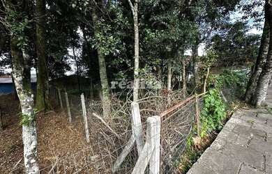 Imagem 4: LOTE A VENDA NO LOTEAMENTO MAZZURANA