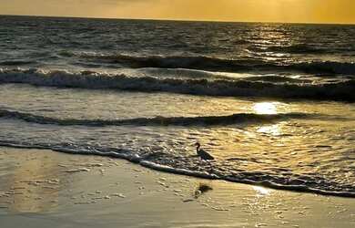 Imagem 3: Aluguel Casa em Pitimbú. Piscina, Churrasqueira, Imóvel mobiliadoeAr-condicionado