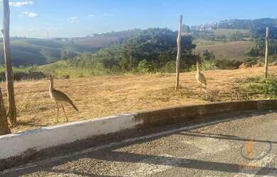 Imagem: O terreno possui 300m² de Área e está localizado em Quintas