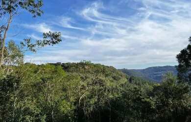 Imagem 15: Terreno - Bairro Vila Dante