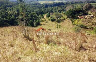 Imagem 3: Sítio em Estrada Municipal Capuava - Vila Nova Capão Bonito - Capão Bonito/SP