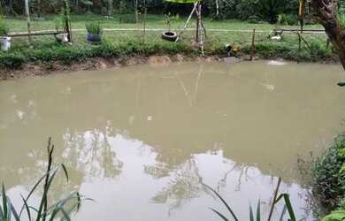 Imagem 3: Lindo 1 alqueire paulista 247 mil reais