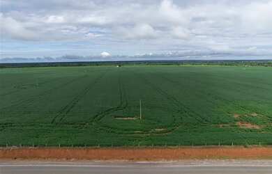 Imagem: A fazenda e está localizado em Fundinho, Uberlândia à venda