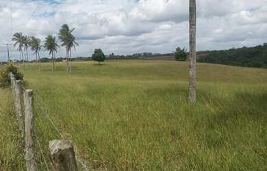 Imagem: A fazenda possui 175240m² de Área, Piscina e Varanda e está