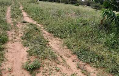 Imagem 2: Terreno a venda. 