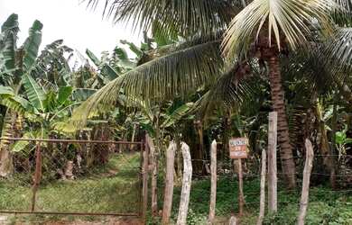 Imagem 1: Terreno a venda. 