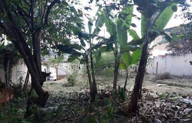 Imagem 14: Lote todo murado com 14,00 metros de frente bairro Marimbá -Betim