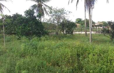 Imagem 3: TERRENO 22X50. 