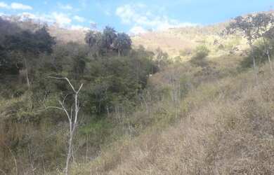 Imagem 13: Fazenda em Areal. 557m² de Área