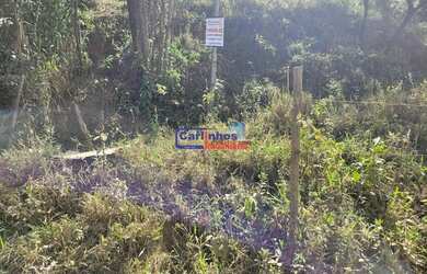 Imagem 10: Terreno Lote. 360m² de Área