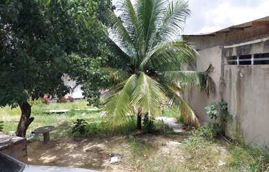 Imagem 3: Vende um terreno. 270m² de Área