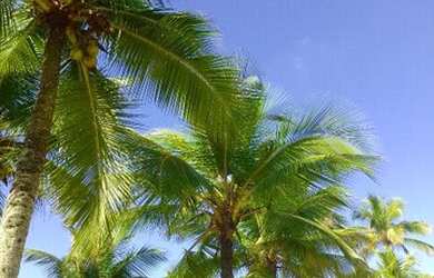 Imagem 5: Praia Grande temporada. 1 Dormitório