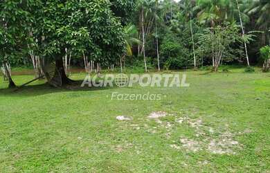 Imagem 6: Fazenda no Pará - São Miguel do Guamá - 260 ha 53 alq