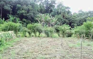 Imagem 10: Chácara para Venda - Horto Florestal