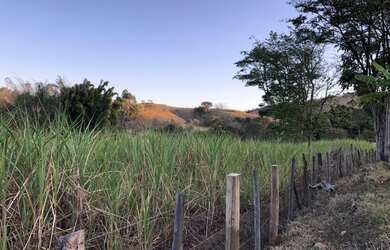 Imagem 13: FAZENDINHA CENTENÁRIA RICA EM ÁGUA À VENDA EM PIRACEMA/MG