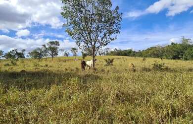 Imagem 9: Lote/Terreno para venda tem 20000 metros quadrados em Zona Rural - Jequitibá...