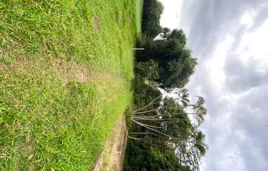 Imagem: A fazenda possui 200m² de Área e está localizado em Fazendinha