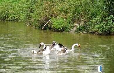 Imagem 3: 03 lojas de 181 m², com banheiro lavabo, ótima localização no Pedra...