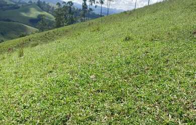 Imagem 5: Lote/Terreno para venda tem 10000 metros quadrados em Moinho I - Nazaré...