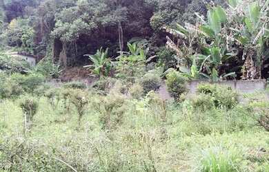 Imagem 8: Chácara para Venda - Horto Florestal