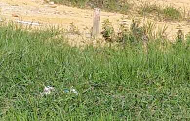 Imagem 1: Vendo Terreno. 