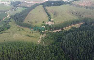 Imagem 7: EXTRAORDINÁRIA FAZENDA DE 422 HA COM ÓTIMA ESTRUTURA E EUCALIPTO POR...