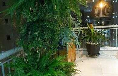 Imagem 4: Maravilhoso apartamento Jardim Sul