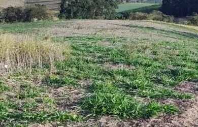 Imagem 10: 03a-1EVHI20. 500m² de Área