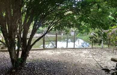 Imagem 16: Lindo sítio em Bonfim povoado de Guedes com excelente localização