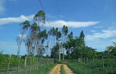 Imagem 3: Mil metros quadrados Citiados em zona rural da cidade itanagra