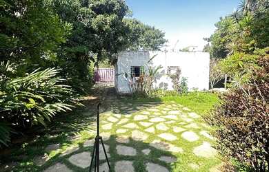 Imagem 14: GALINHA MORTA PREÇO ABAIXO DO MERCADO NA PONTE ALTA NORTE