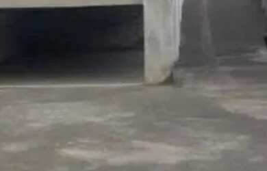 Imagem 3: Galpão à venda em Barueri, Vila São Silvestre, com 780 m²