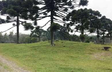 Imagem 5: Sitio - Bairro Serra Grande