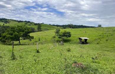 Imagem 16: Chácara 5 alqueires. 