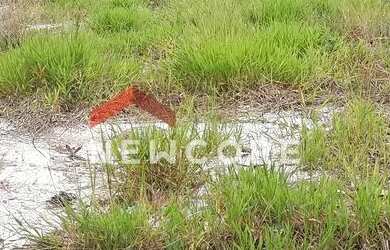 Imagem 10: Lote em Alameda Serra da Cantareira - Canjica (Terra Preta) - Mairiporã/SP