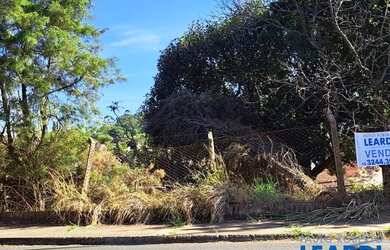 Imagem 10: TERRENO - CHÁCARAS SILVANIA - SP