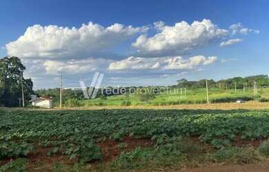 Imagem 4: área - Betel - Paulínia