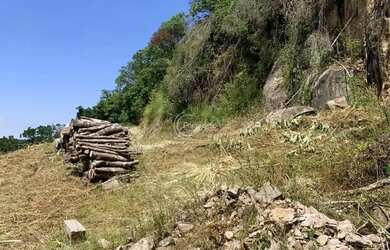 Imagem 5: Terrenos - Linha 40. 3.340m² de Área