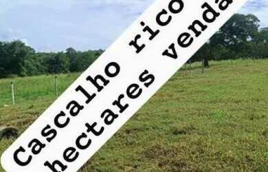 Imagem: A fazenda está localizado em Fundinho, Uberlândia à venda