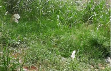 Imagem: O terreno possui 10.450m² de Área e está localizado em Jardim