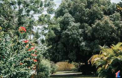 Imagem 12: Casa em Condominio para Venda na Praia da Pipa- Tibau do Sul/ RN