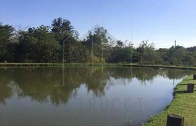 Imagem 1: terreno - Tuiuti - Tuiuti